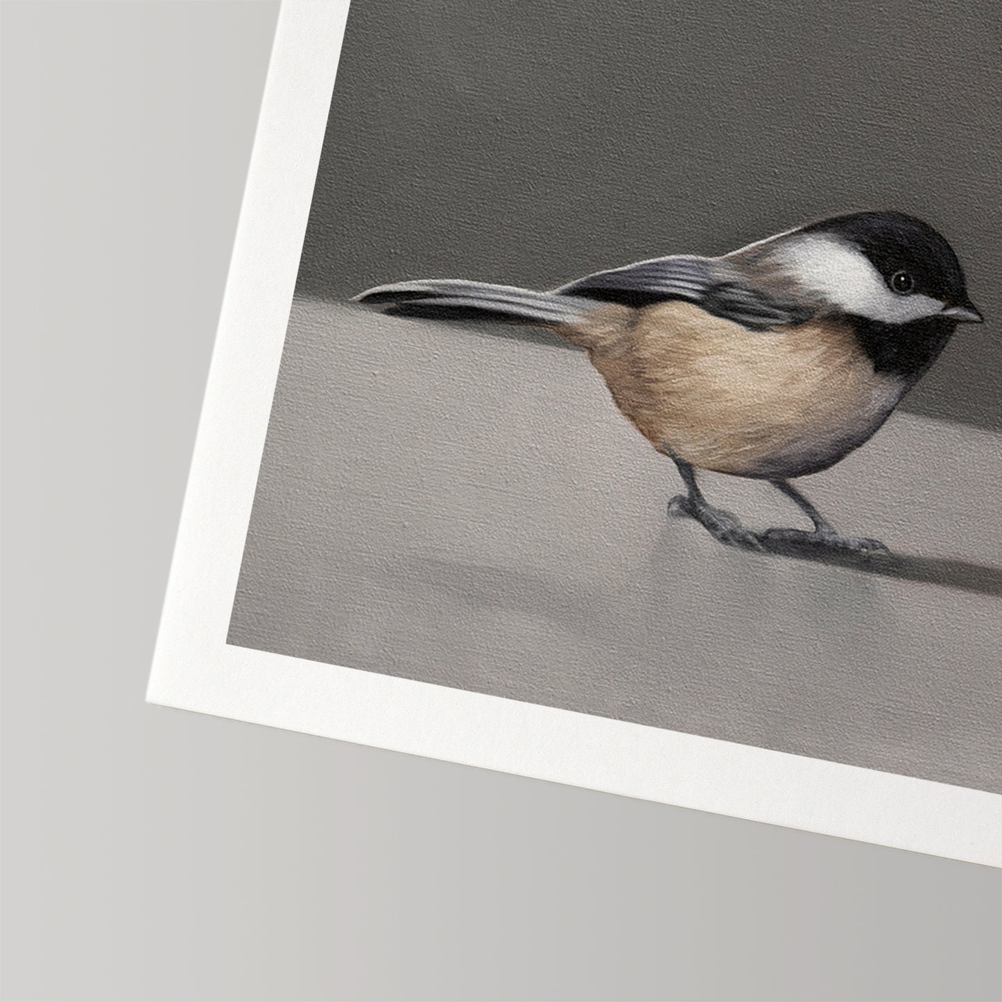 Fine art print of a black-capped chickadee on museum-grade cotton rag paper with a white border.