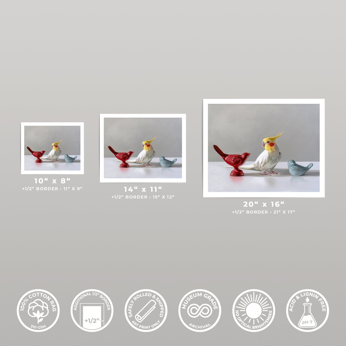 Three art prints of a cockatiel and two red and blue bird figurines, shown in 10x8, 14x11, and 20x16 sizes.