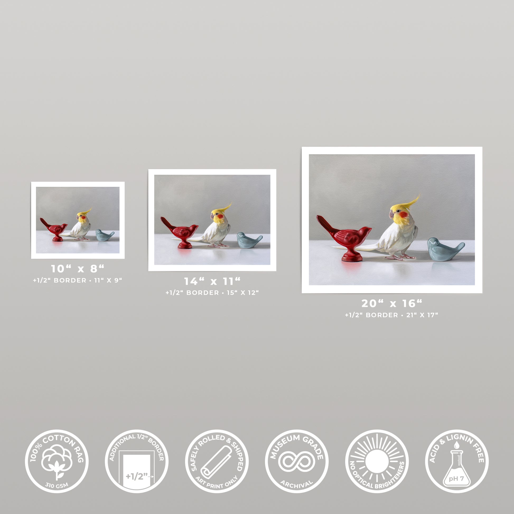 Three art prints of a cockatiel and two red and blue bird figurines, shown in 10x8, 14x11, and 20x16 sizes.
