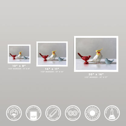 Three art prints of a cockatiel and two red and blue bird figurines, shown in 10x8, 14x11, and 20x16 sizes.