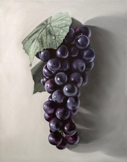 Vibrant fine art print of a dark purple Concord grape bunch with green leaves and water droplets on a light background.