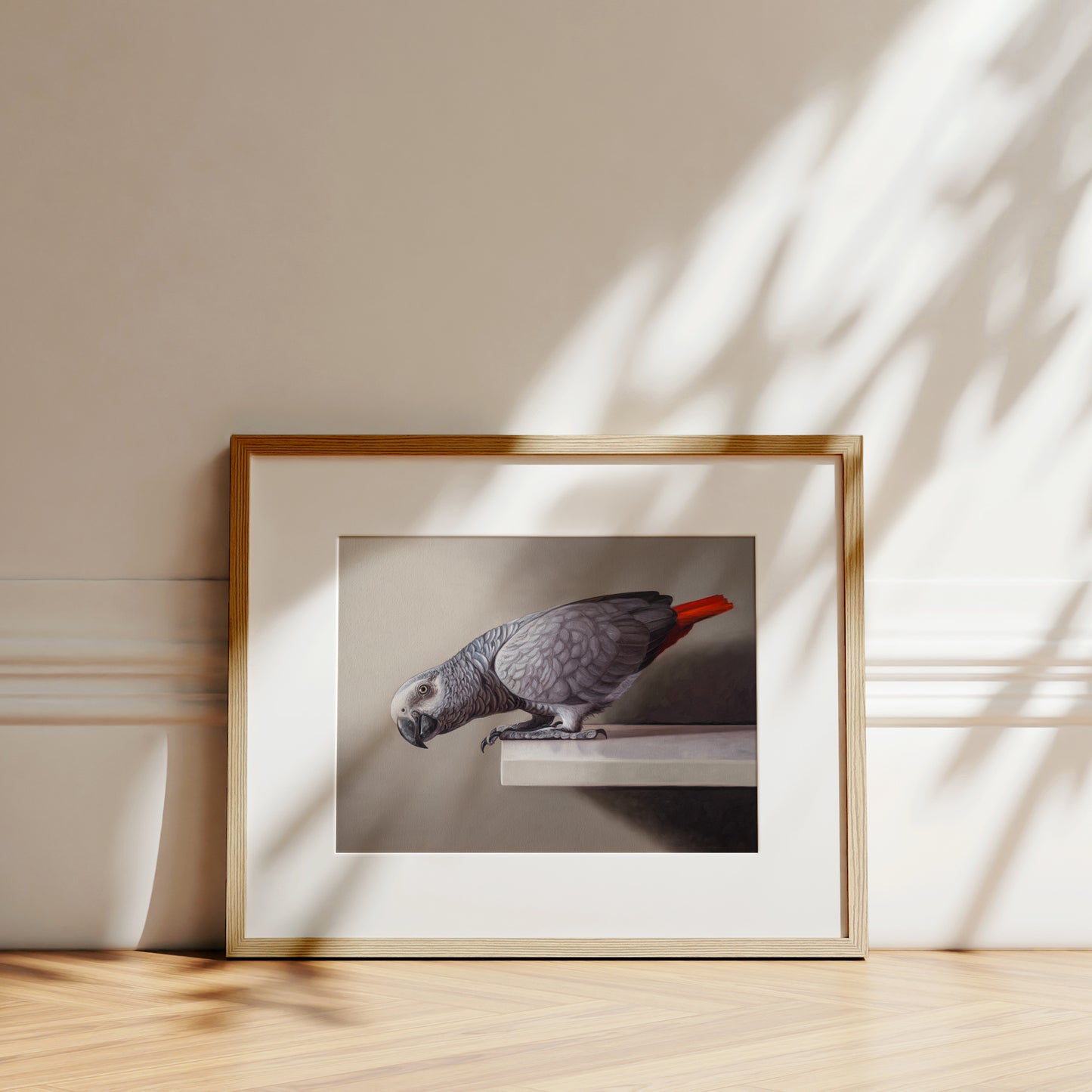 Curious African Grey Parrot Fine Art Print by Lauren Pretorius: an African Grey Parrot perched on a ledge, detailed black and grey tones with a red highlight on the tail.