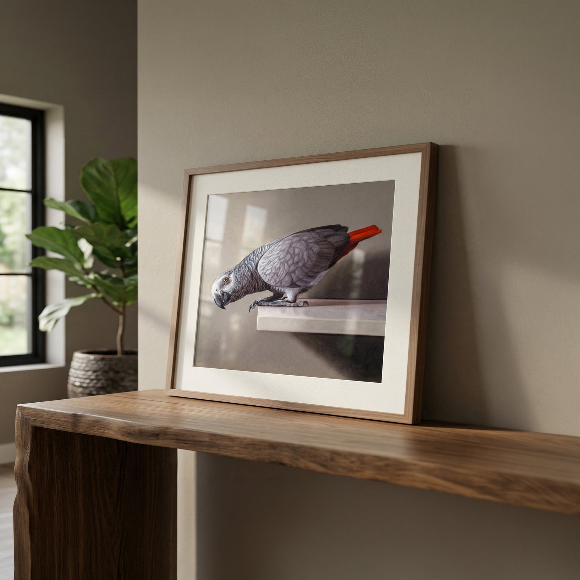 Framed fine art print of a curious African Grey parrot with a bright red tail, displayed on a wooden console table.