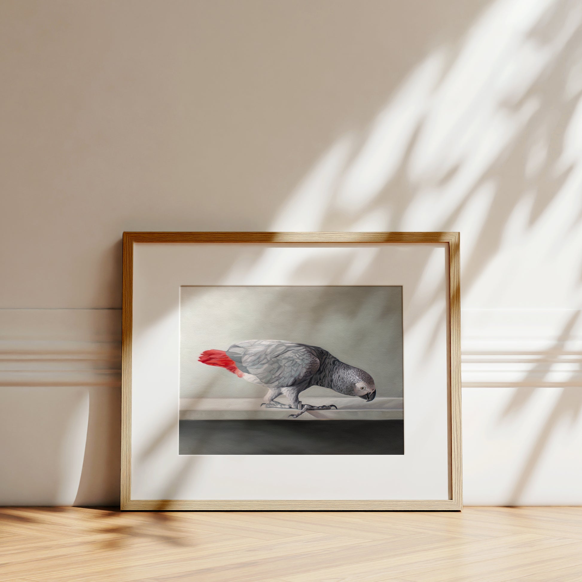 Fine art print of a grey African Grey parrot with a red tail, in a natural wood frame, on a light wood floor.