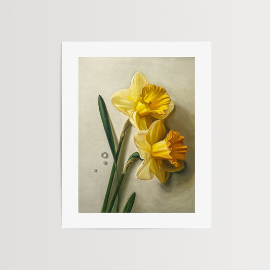 Daffodil Dew Drops Fine Art Print by Lauren Pretorius: a close-up of daffodil flowers with water droplets.