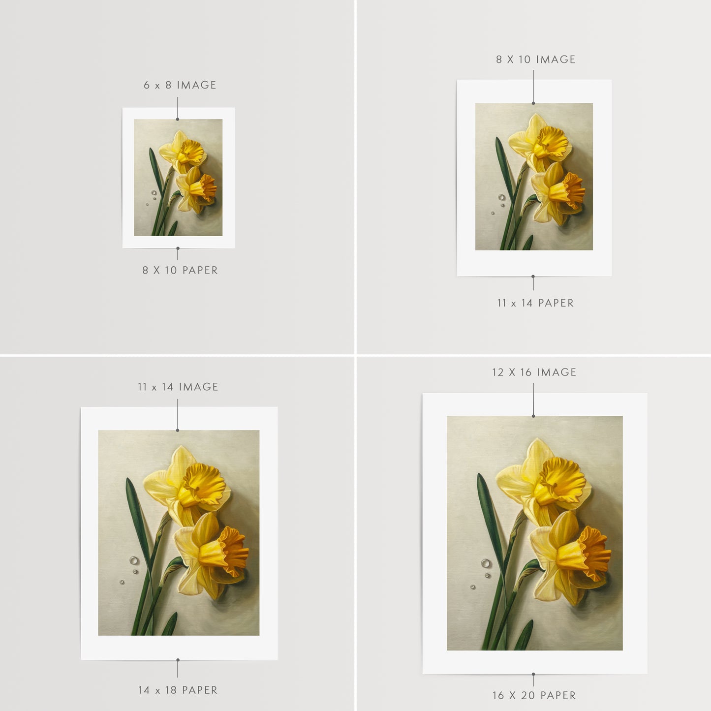 Daffodil Dew Drops Fine Art Print by Lauren Pretorius: a close-up of daffodil flowers with water droplets.