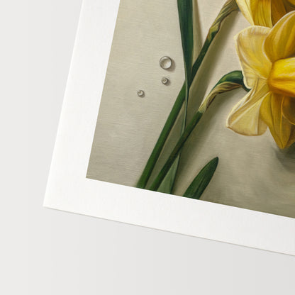 Daffodil Dew Drops Fine Art Print by Lauren Pretorius: a close-up of daffodil flowers with water droplets.