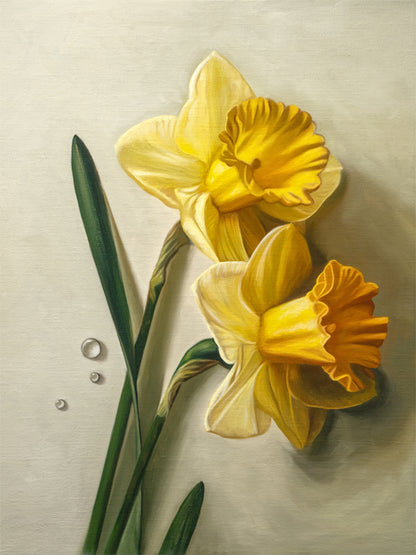 Daffodil Dew Drops Fine Art Print by Lauren Pretorius: a close-up of daffodil flowers with water droplets.