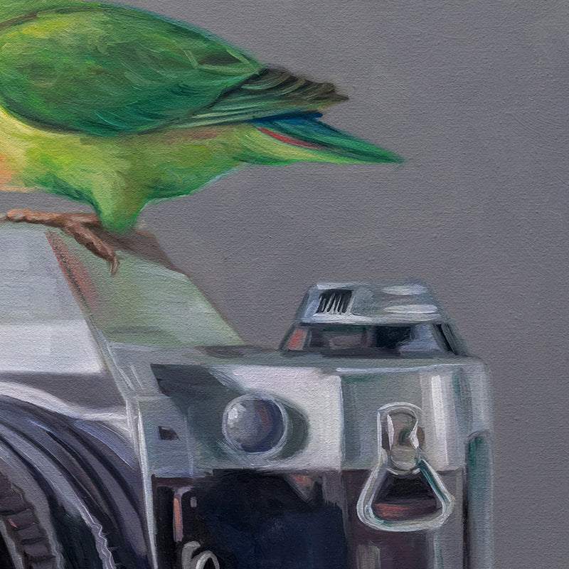 Lovebirds & Camera | 14" x 11" Original Oil Painting