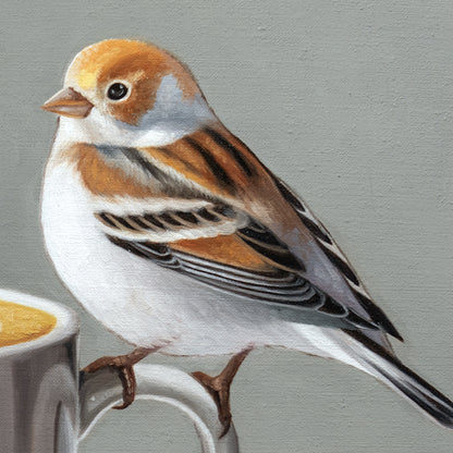 Snow Bunting & Latte