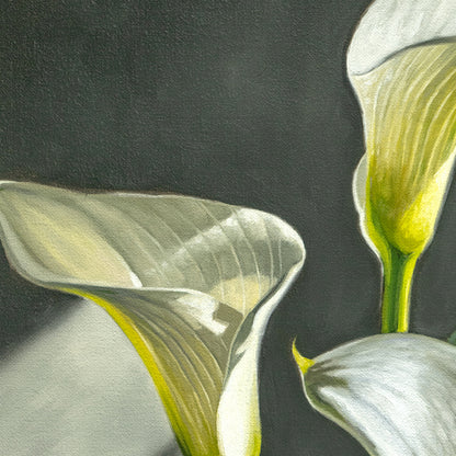 Cala Lilies