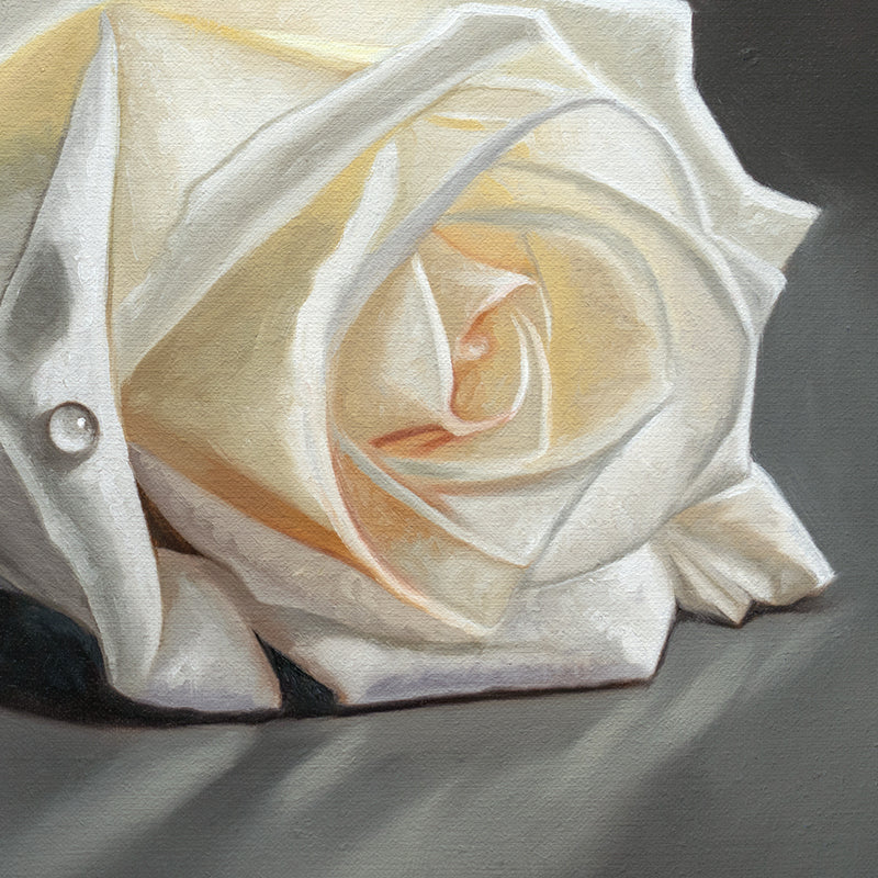 White Rose