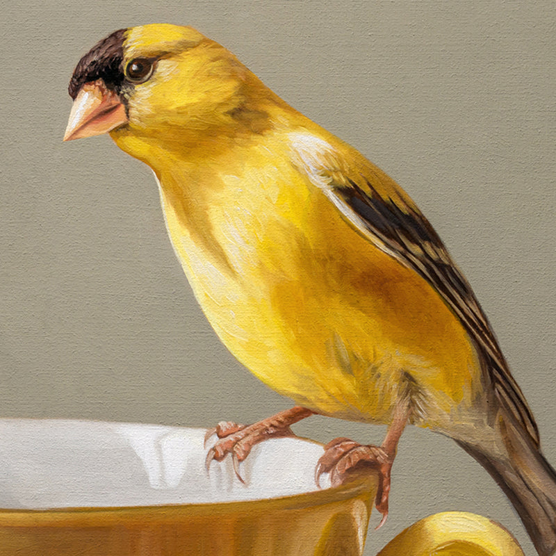 Goldfinch & Yellow Cup | 14" x 11" Original Oil Painting