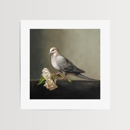 Dove & Roses Fine Art Print by Lauren Pretorius: a Mourning Dove holding a pair of wilting white roses.