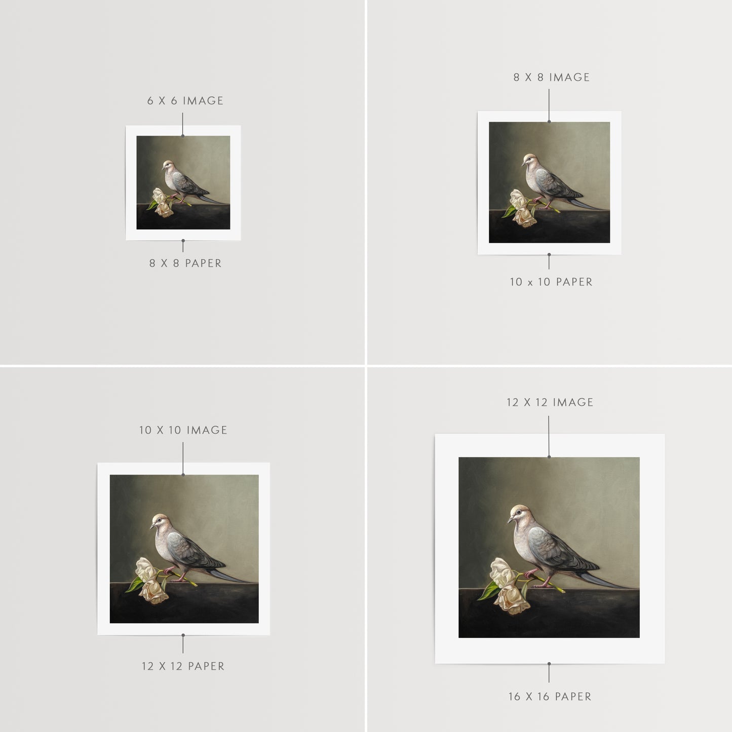 Dove & Roses Fine Art Print by Lauren Pretorius: a Mourning Dove holding a pair of wilting white roses.