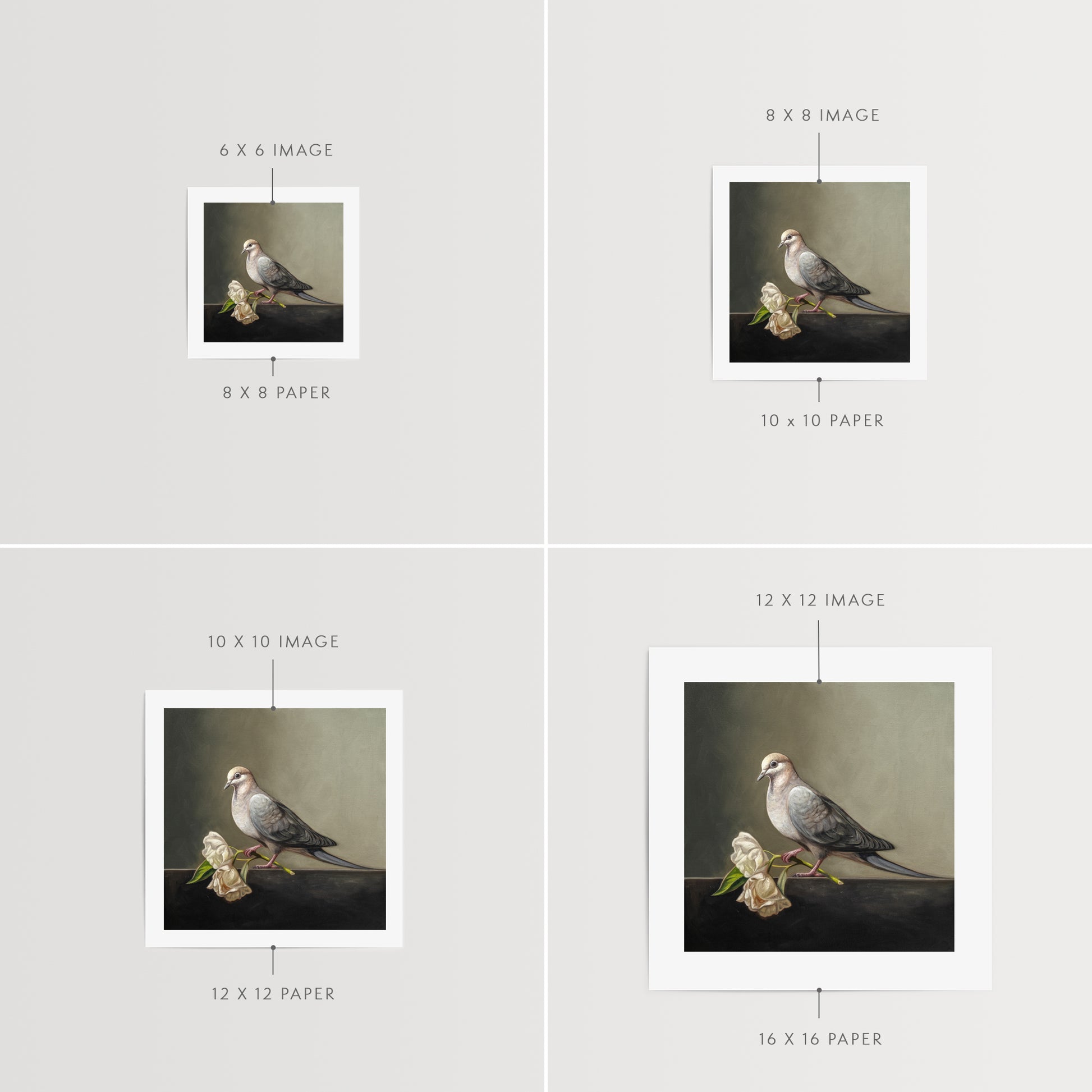 Dove & Roses Fine Art Print by Lauren Pretorius: a Mourning Dove holding a pair of wilting white roses.