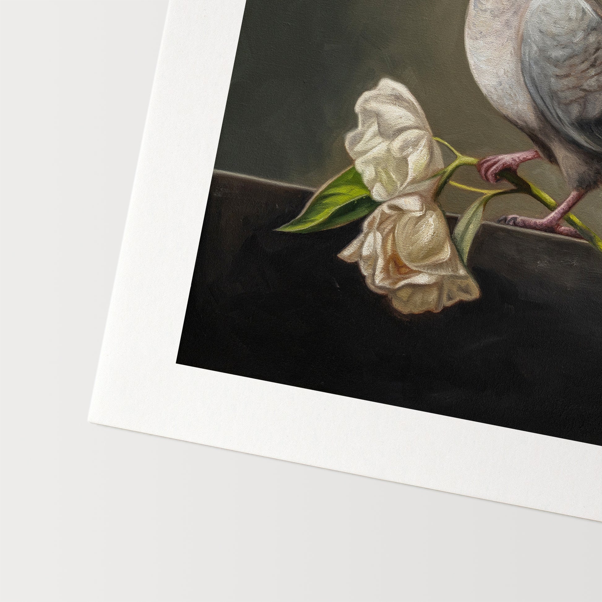 Dove & Roses Fine Art Print by Lauren Pretorius: a Mourning Dove holding a pair of wilting white roses.