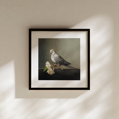 Dove & Roses Fine Art Print by Lauren Pretorius: a Mourning Dove holding a pair of wilting white roses.