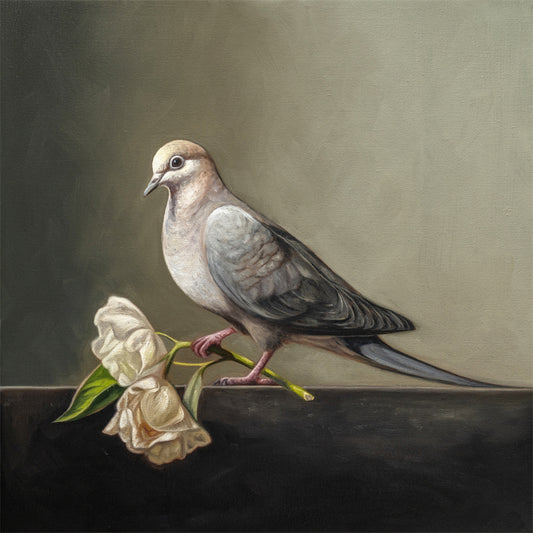 Dove & Roses Fine Art Print by Lauren Pretorius: a Mourning Dove holding a pair of wilting white roses.