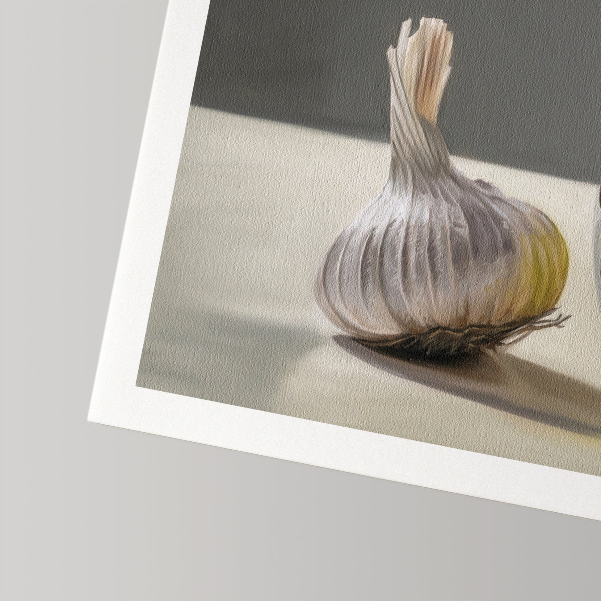Textured fine art print of a white garlic bulb with a subtle shadow, featuring a white border.
