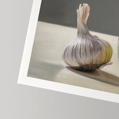 Textured fine art print of a white garlic bulb with a subtle shadow, featuring a white border.