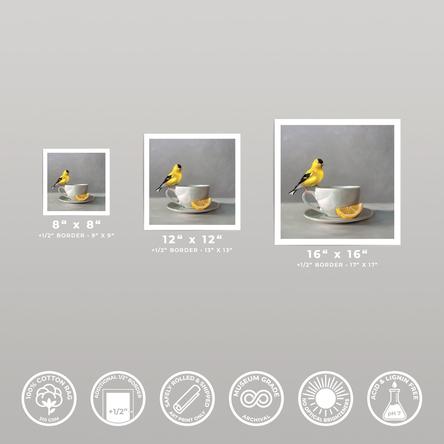 Three fine art prints of a yellow goldfinch on a teacup with a lemon slice, shown in 8x8, 12x12, and 16x16 sizes.