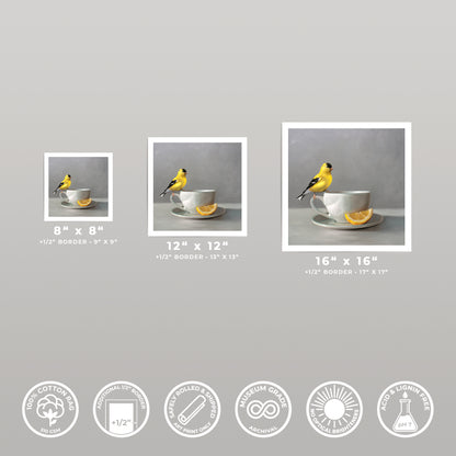 Three fine art prints of a yellow goldfinch on a teacup with a lemon slice, shown in 8x8, 12x12, and 16x16 sizes.