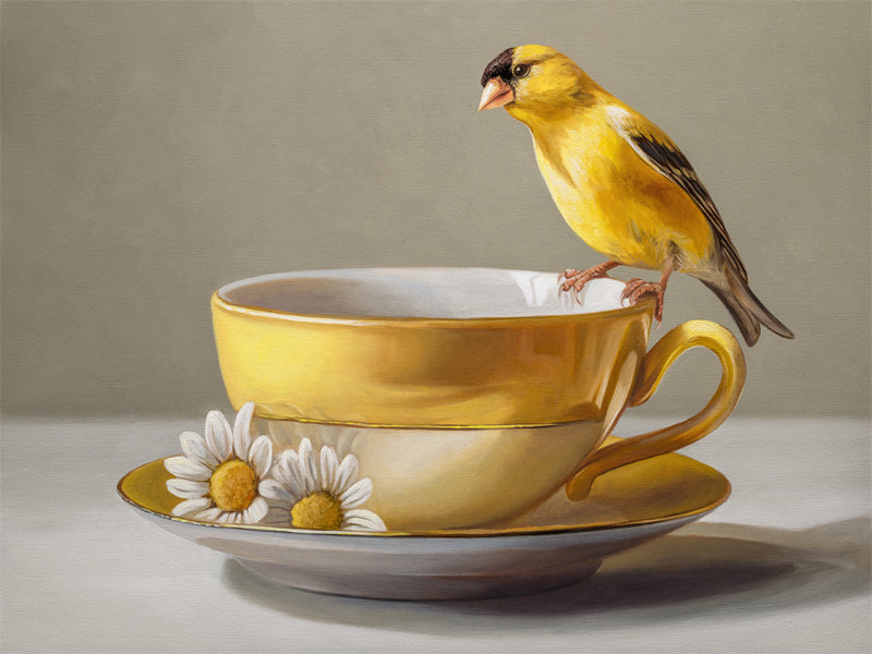 Goldfinch & Yellow Cup Fine Art Print by Lauren Pretorius: a goldfinch perched on a gold teacup with white flowers on a saucer against a neutral background