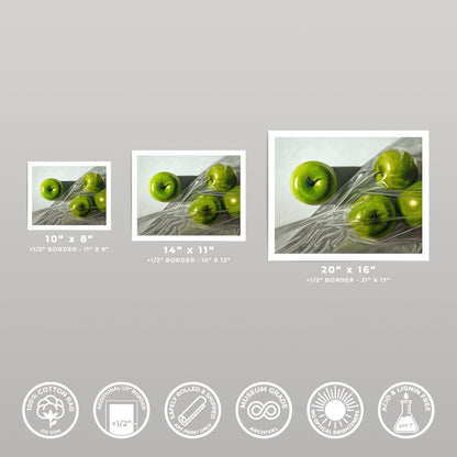 Three fine art prints of Granny Smith apples, varying sizes, with white borders.