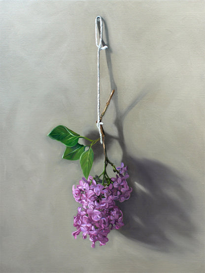 Hanging Lilac Blossoms Fine Art Print by Lauren Pretorius: Lilac blossoms hanging adjacent to a wall.