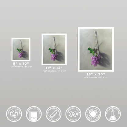 Three fine art prints of hanging purple lilac blossoms in 8x10, 11x14, and 16x20 sizes.