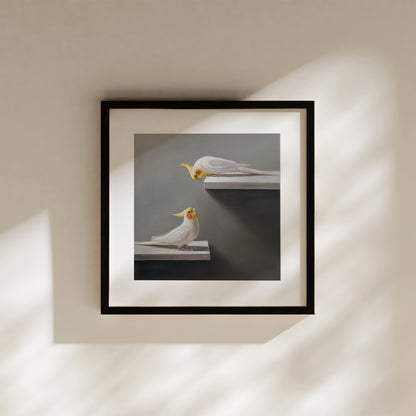 Pair of Cockatiels | Fine Art Print