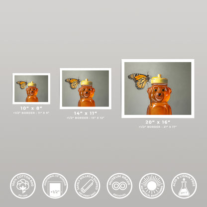 Three art prints of a monarch butterfly on a honey bear, shown in 10x8, 14x11, and 20x16 sizes.