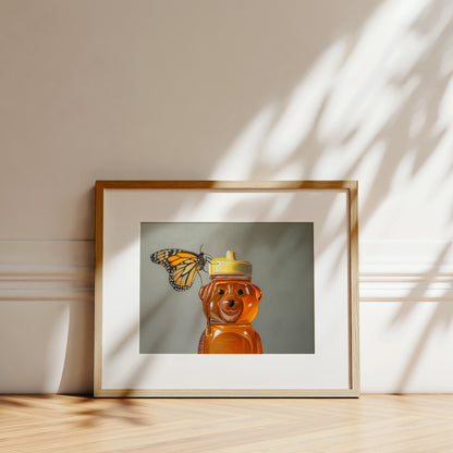 Framed fine art print of a monarch butterfly on a honey bear bottle, with sunlight shadows.