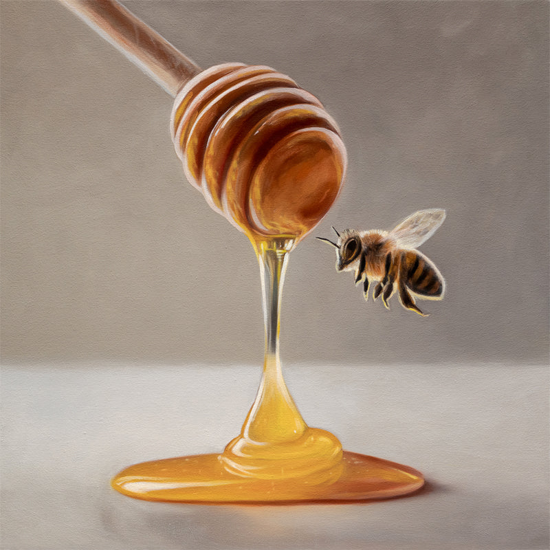 Honey Dipper & Bee Fine Art Print by Lauren Pretorius: a honey dipper with honey dripping and a bee approaching on a neutral background
