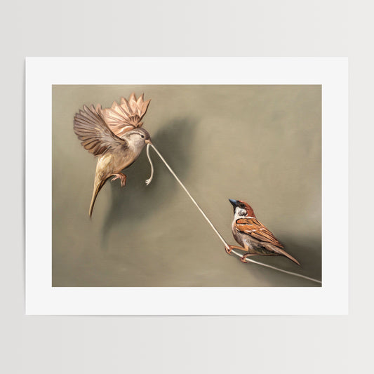 House Sparrows with String Fine Art Print by Lauren Pretorius: a pair of house sparrows playing with a piece of white string