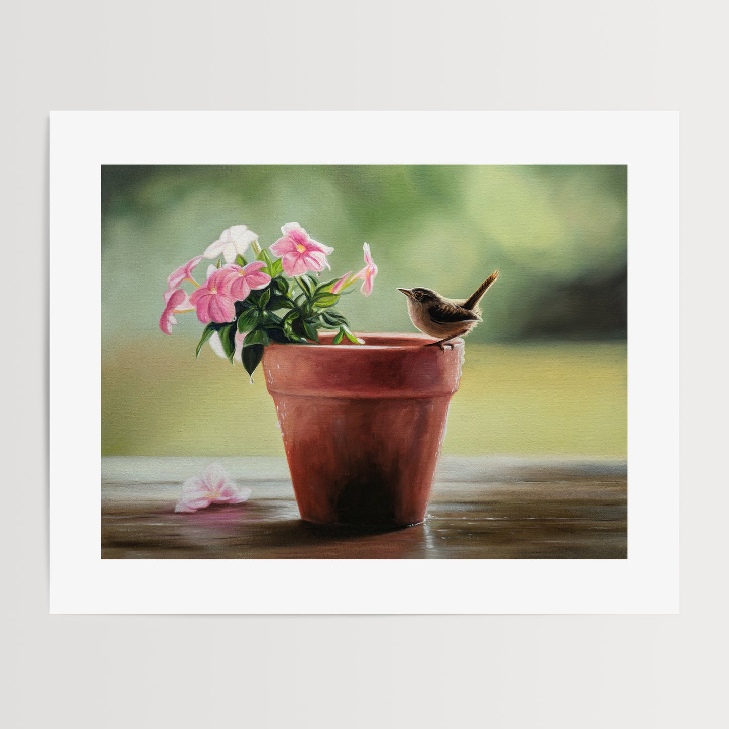 House Wren & Blossoms Fine Art Print by Lauren Pretorius: a house wren perched on the edge of a terracotta pot with pink blossoms.