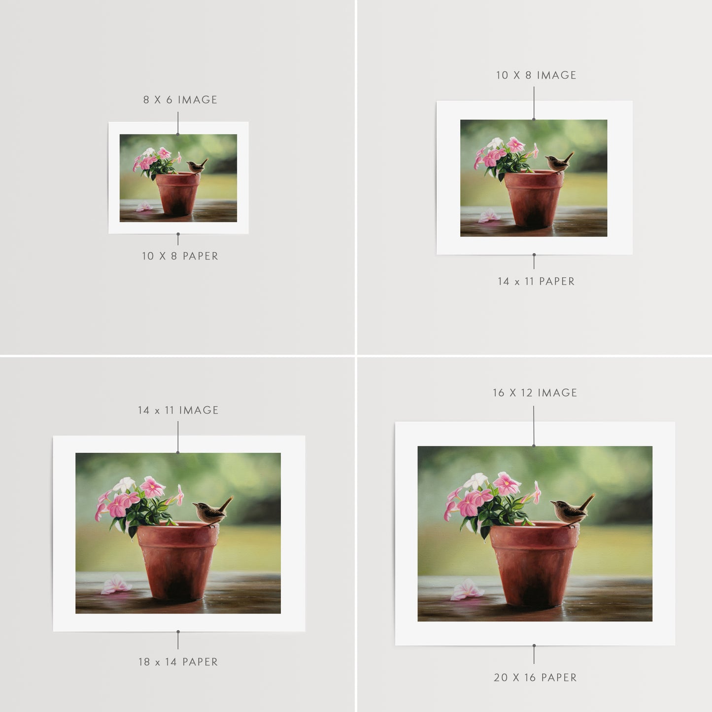 House Wren & Blossoms Fine Art Print by Lauren Pretorius: a house wren perched on the edge of a terracotta pot with pink blossoms.