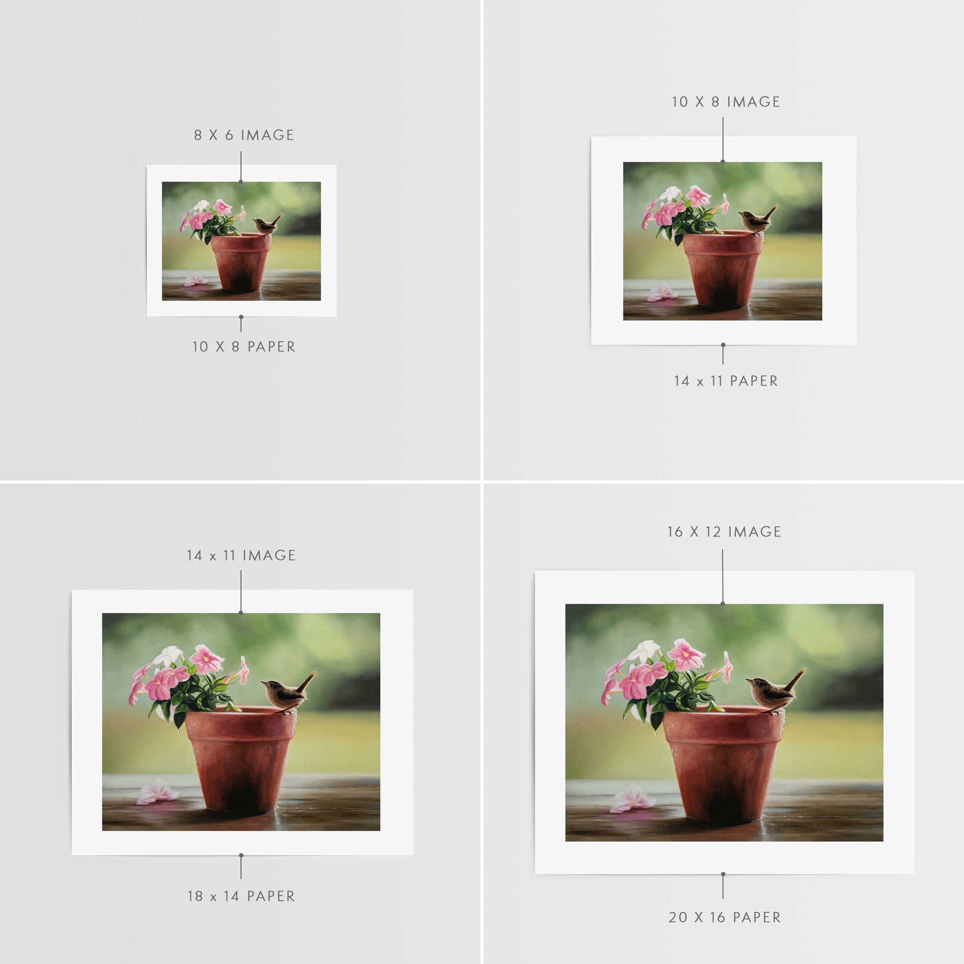 House Wren & Blossoms Fine Art Print by Lauren Pretorius: a house wren perched on the edge of a terracotta pot with pink blossoms.