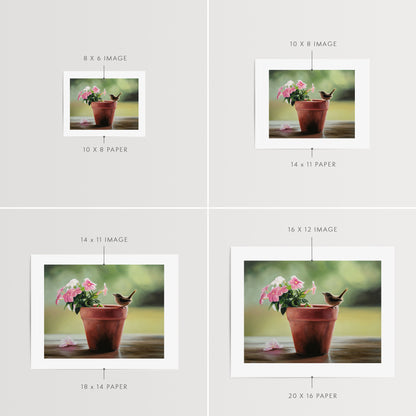 House Wren & Blossoms Fine Art Print by Lauren Pretorius: a house wren perched on the edge of a terracotta pot with pink blossoms.
