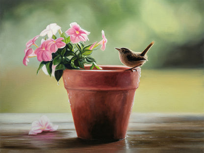 House Wren & Blossoms Fine Art Print by Lauren Pretorius: a house wren perched on the edge of a terracotta pot with pink blossoms.
