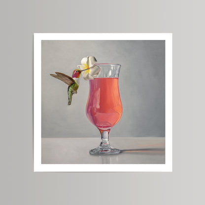 Fine art print of a hummingbird sipping from a pink cocktail garnished with a white plumeria flower.