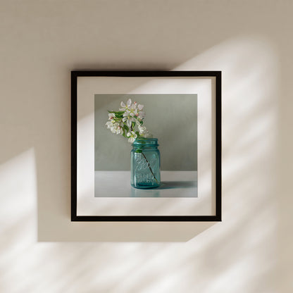 Jar of Apple Blossoms Fine Art Print by Lauren Pretorius: a vintage blue jar filled with white crabapple blossoms.