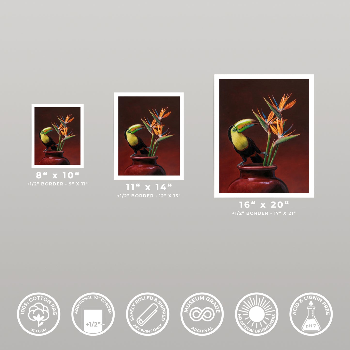 Three fine art prints of a Keel-billed Toucan and Bird of Paradise in a vase, shown in 8x10, 11x14, and 16x20 sizes.
