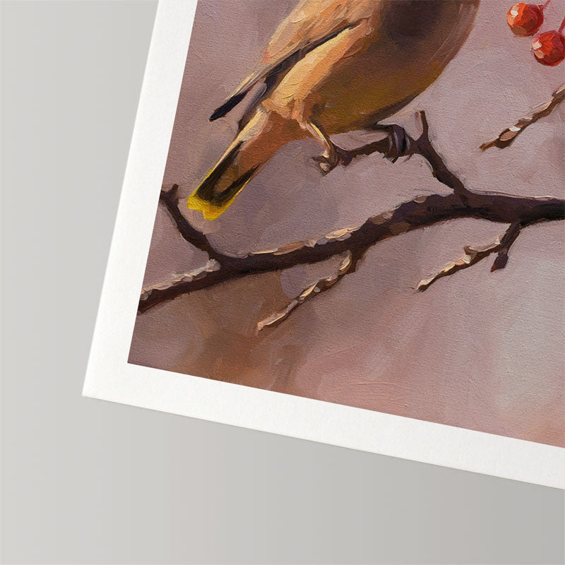 Oil painting print of a Cedar Waxwing on a branch with red berries, featuring a white border on textured cotton rag paper.