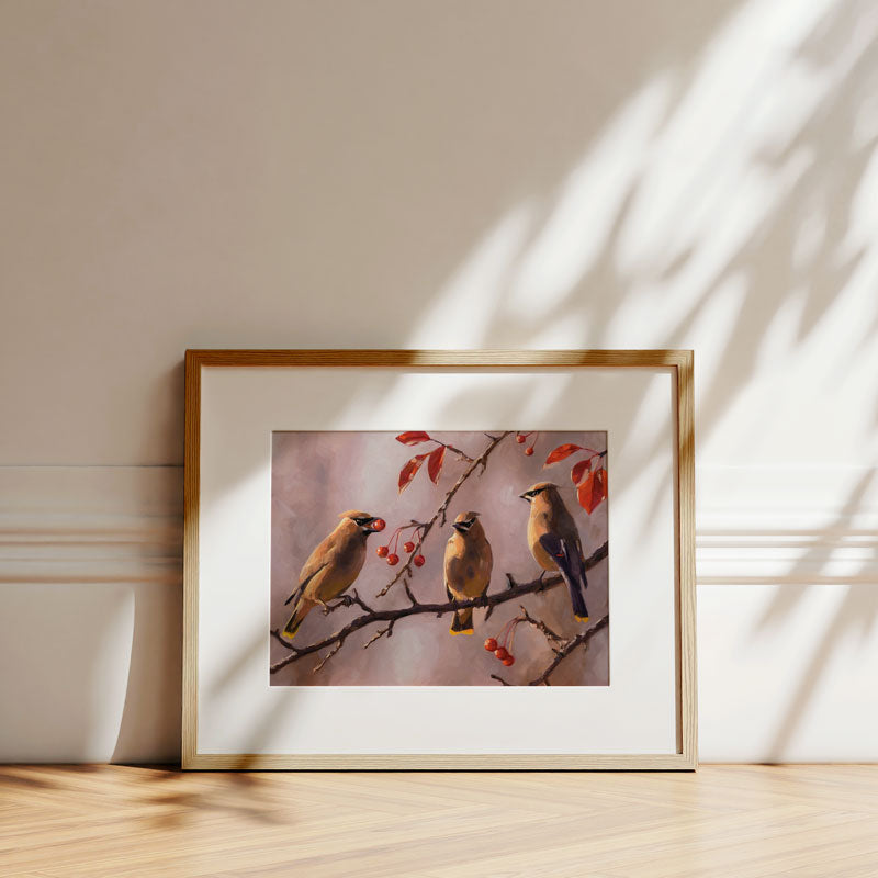 Fine art print of three Cedar Waxwings on a branch with red berries, displayed in a light wood frame on a wooden floor.