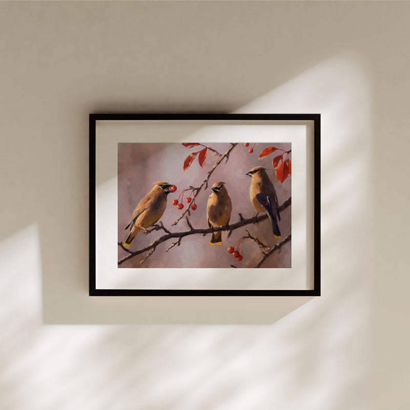 Fine art print of three Cedar Waxwings on a berry branch, framed in black on a neutral wall with soft sunlight.