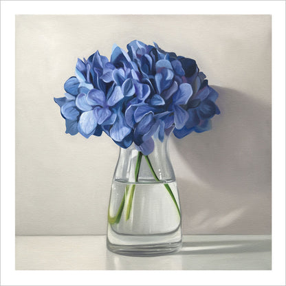 Fine art print of vibrant blue hydrangeas in a clear glass vase on a white background with a clean white border.