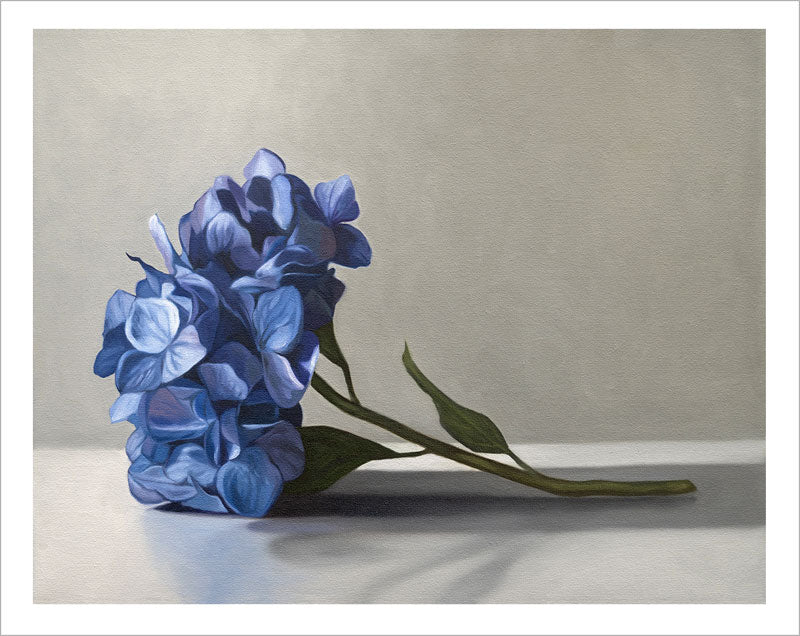 Fine art print of vibrant blue hydrangeas on textured cotton rag paper with a clean white border.