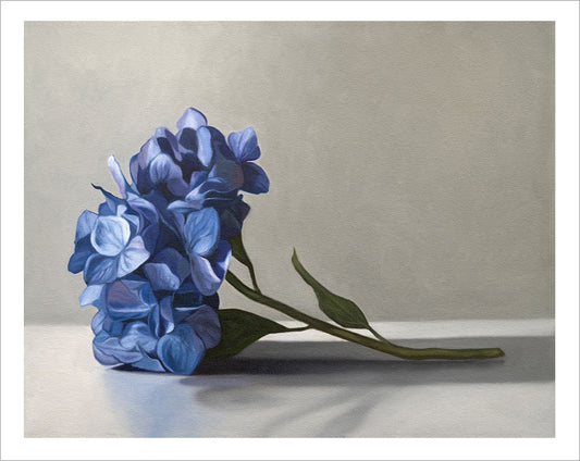 Fine art print of vibrant blue hydrangeas on textured cotton rag paper with a clean white border.